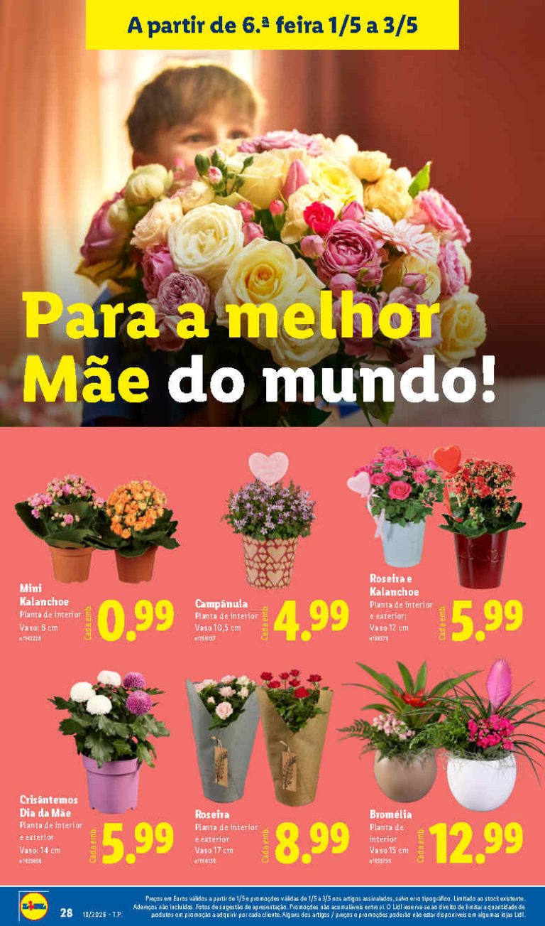 Folheto Lidl Flores: Antevisão bazar Promoções 1 a 3 de maio