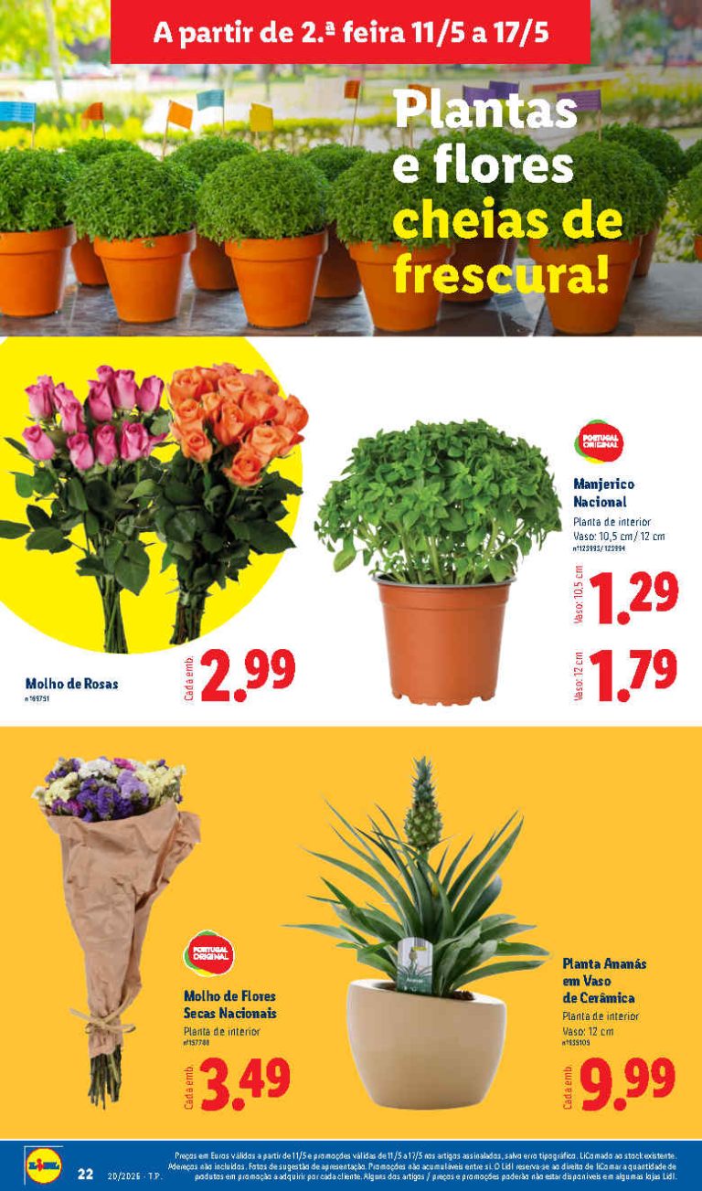 Folheto Lidl Flores – Antevisão Promoções bazar 11 a 17 de maio