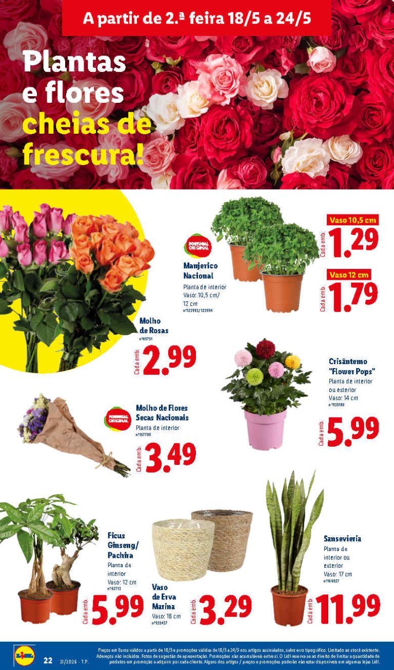 Folheto Lidl Flores – Antevisão bazar Promoções 18 a 24 de maio