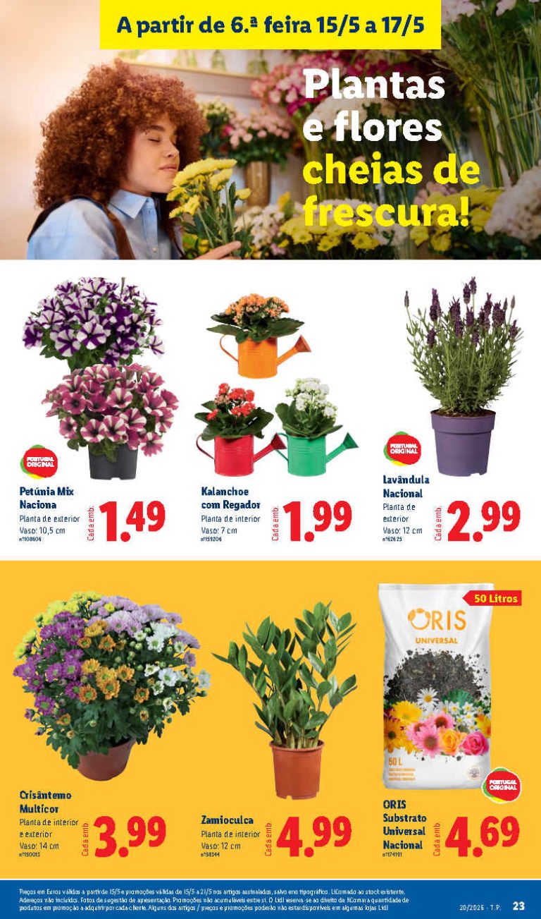 Folheto Lidl Flores – Antevisão Promoções bazar 15 a 17 de maio