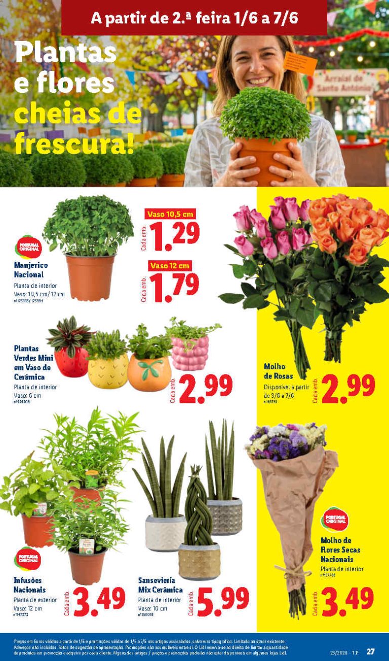Folheto Lidl Flores – Antevisão bazar Promoções 1 a 7 de junho