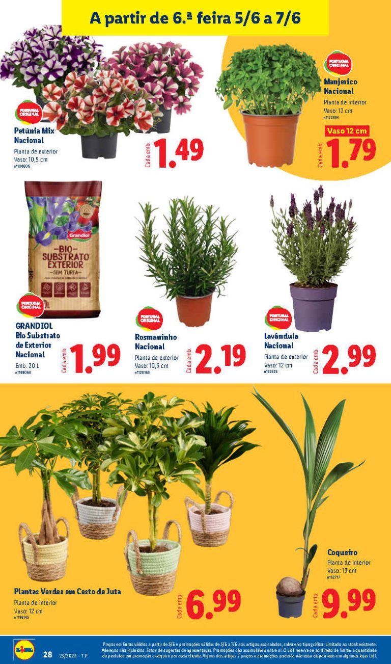 Folheto Lidl Flores – Antevisão bazar Promoções 5 a 7 de junho
