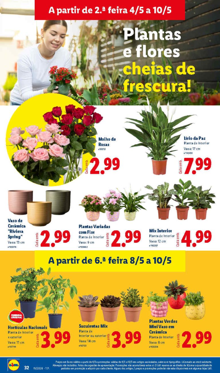 Folheto Lidl Flores: Antevisão Bazar Promoções 4 a 10 de maio