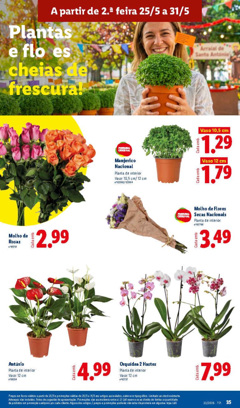 Folheto Lidl Flores – Antevisão Promoções 25 a 31 de maio