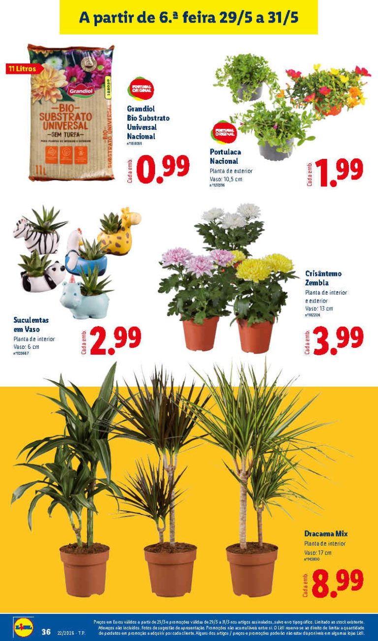 Folheto Lidl Flores – Antevisão Promoções 29 a 31 de maio