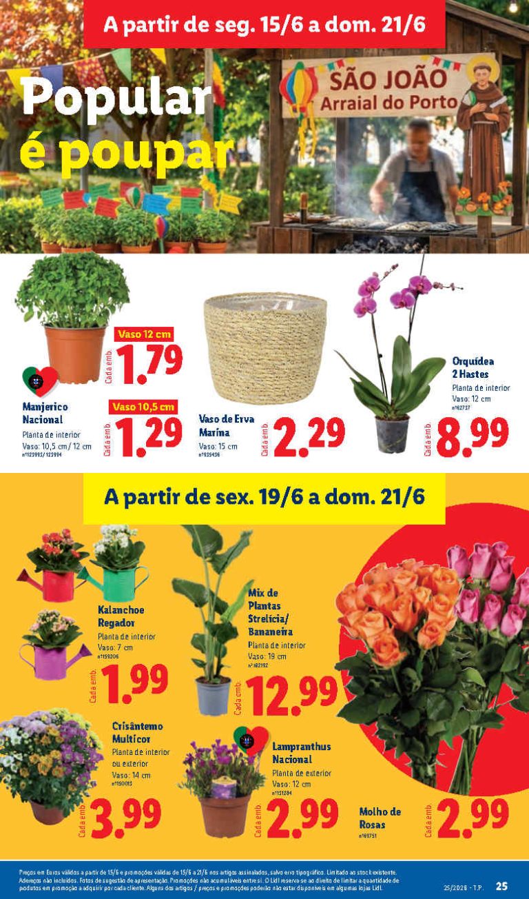 Folheto Lidl flores – Antevisão bazar Promoções 15 a 21 de junho