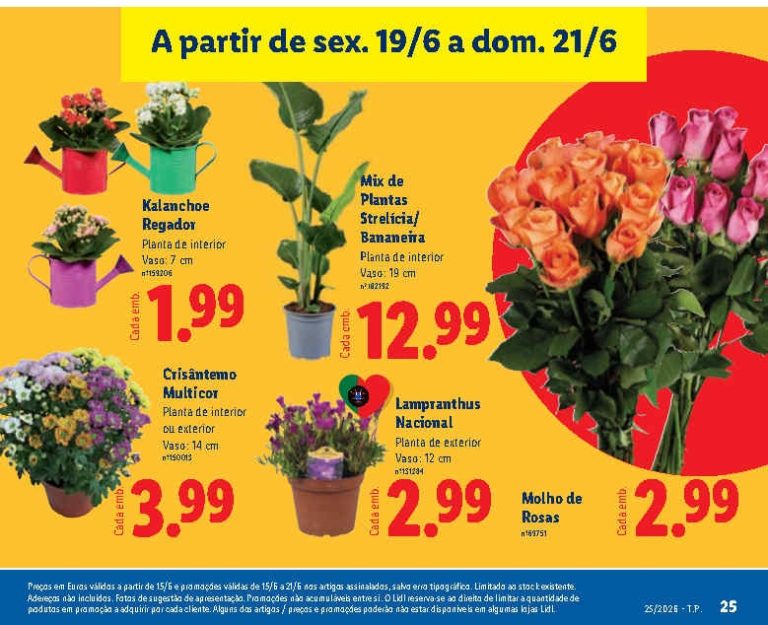 Folheto Lidl flores – Antevisão bazar Promoções 19 a 21 de junho