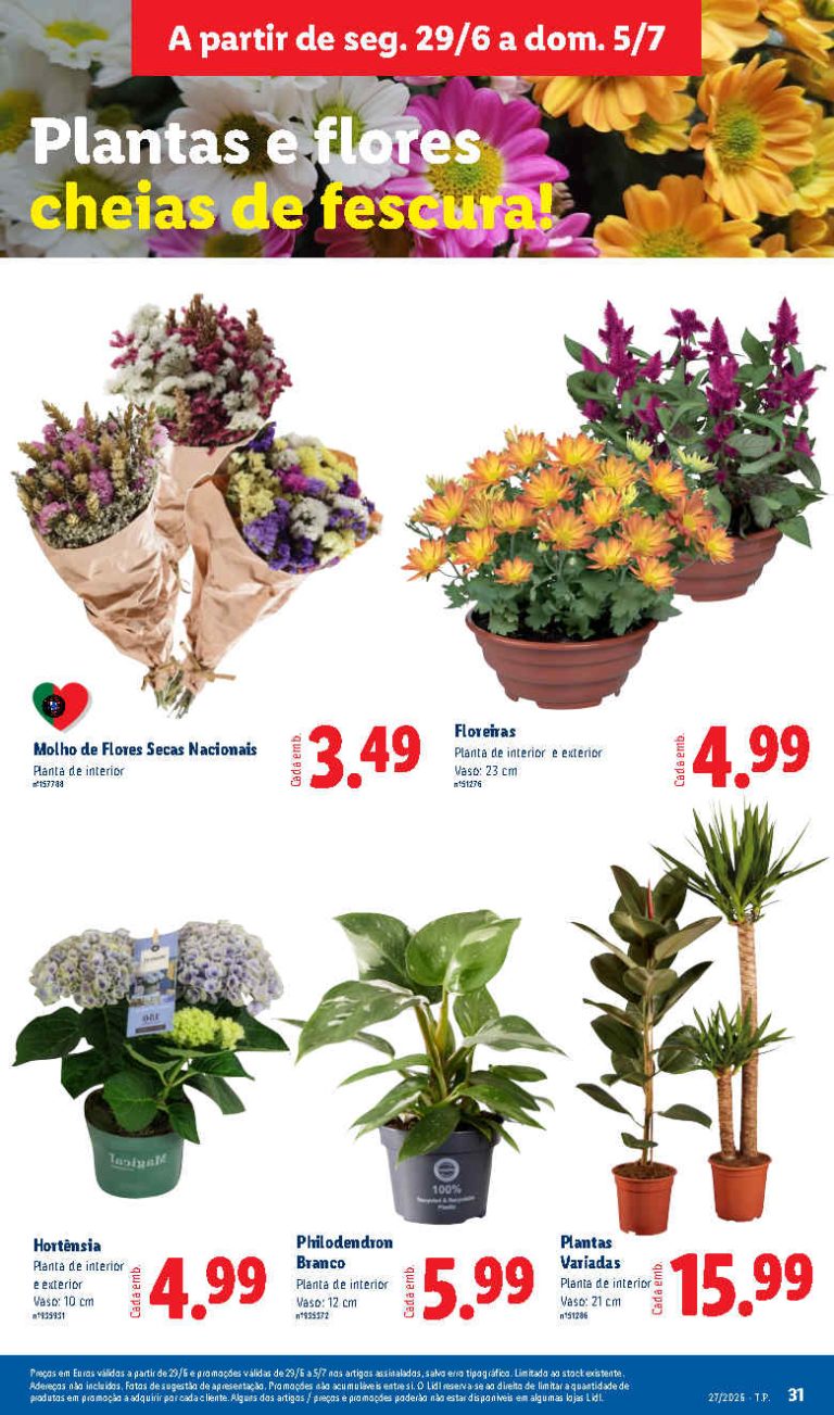 Folheto Lidl flores – Antevisão bazar Promoções de 29 junho a 5 julho