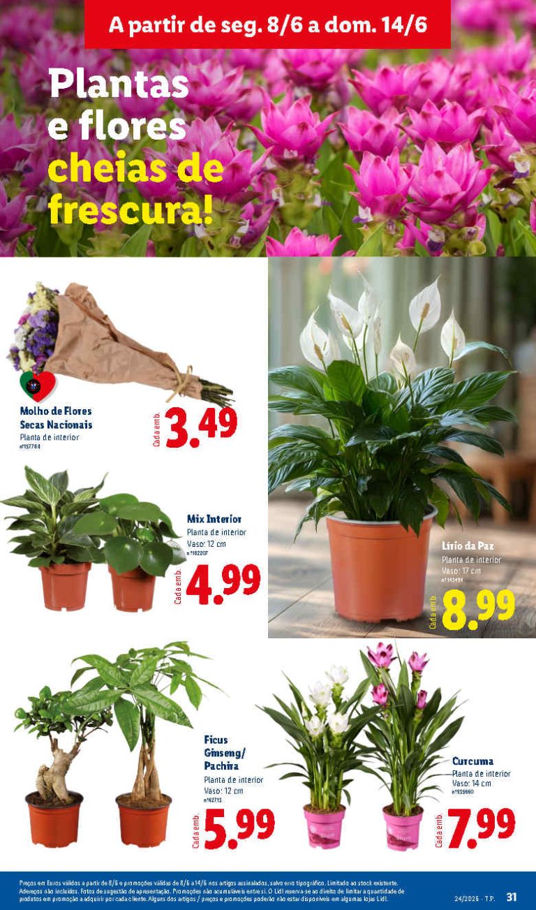 Folheto Lidl Flores – Antevisão Promoções 8 a 14 de junho