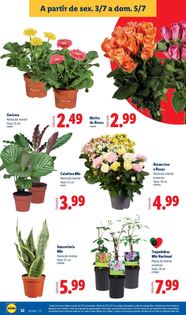 Folheto Lidl flores – Antevisão bazar Promoções de 3 a 5 julho