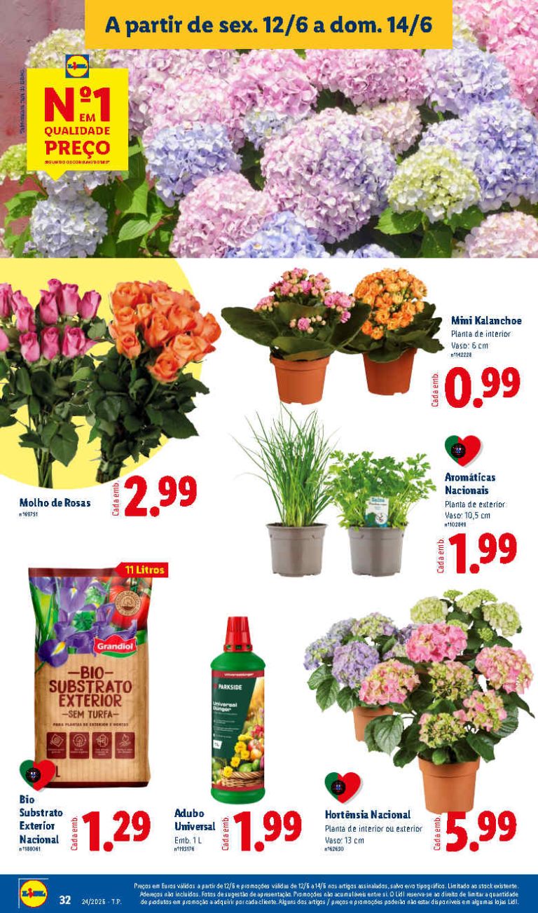 Folheto Lidl Flores – Antevisão bazar Promoções 12 a 14 de junho