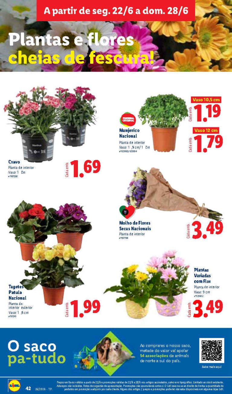 Folheto Lidl flores – Antevisão bazar Promoções 22 a 28 de junho