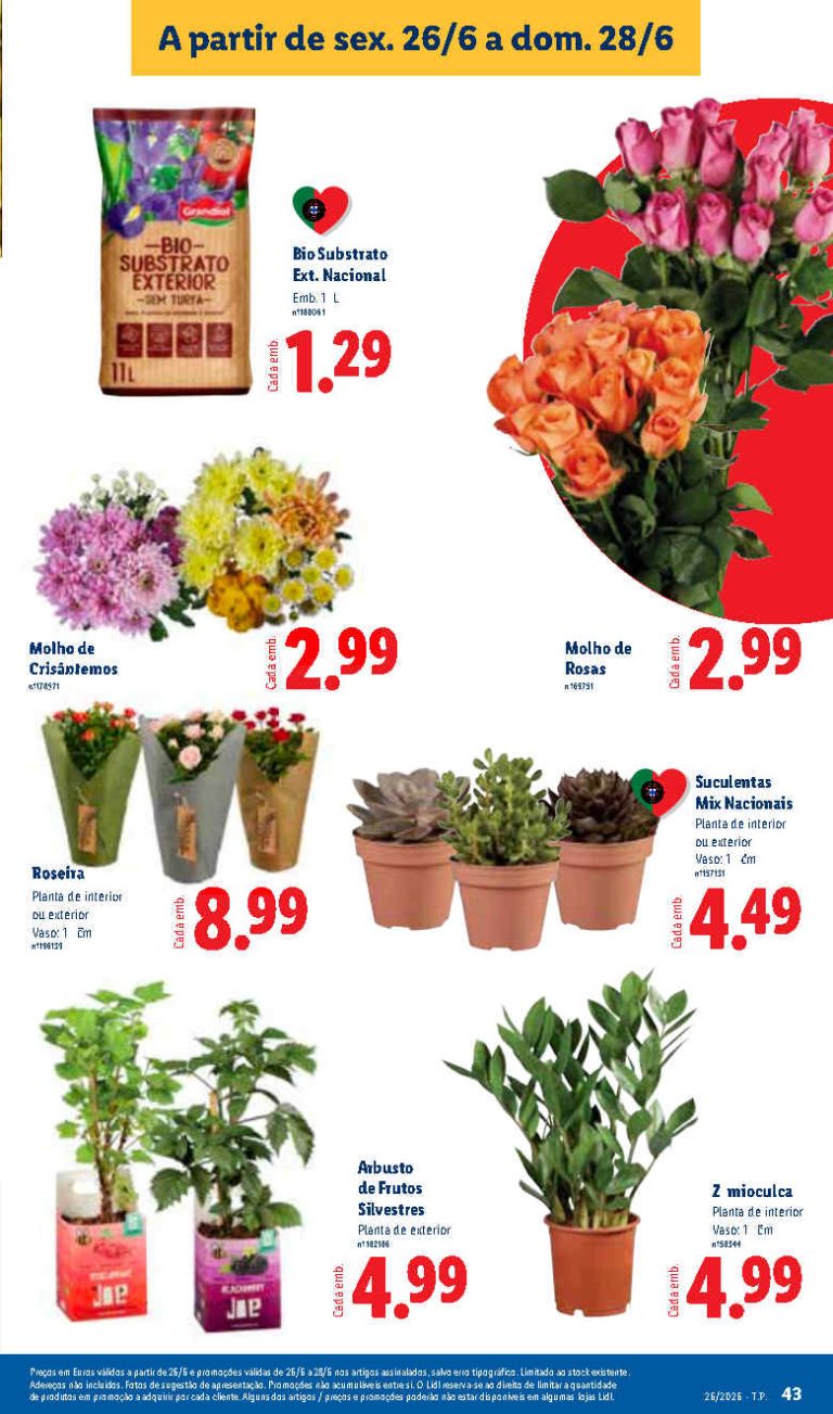 Folheto Lidl flores – Antevisão bazar Promoções 26 junho a 2 julho