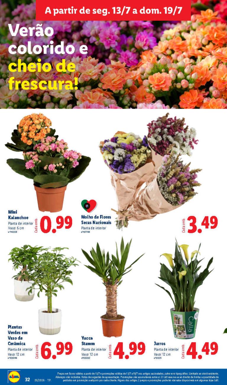 Folheto Lidl flores – Antevisão bazar Promoções de 13 a 19 julho