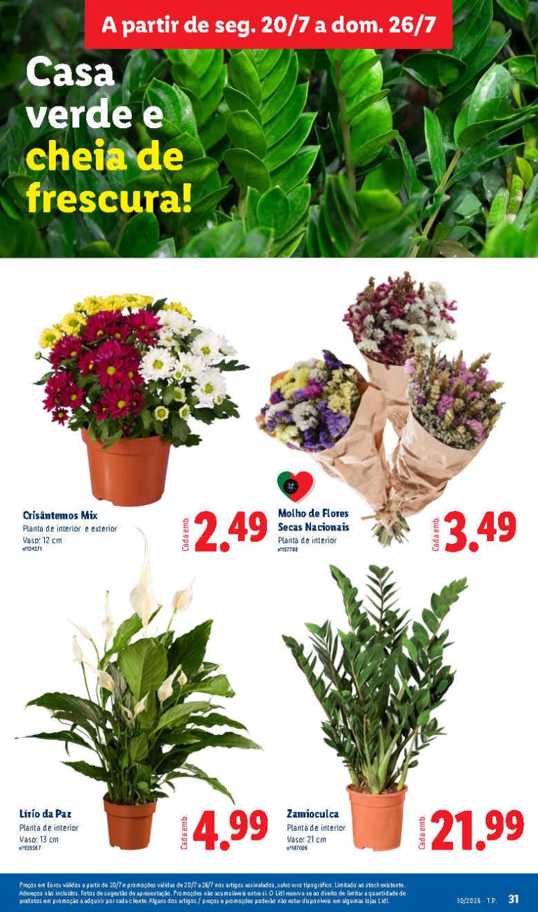 Folheto Lidl flores – Antevisão bazar Promoções de 20 a 26 julho