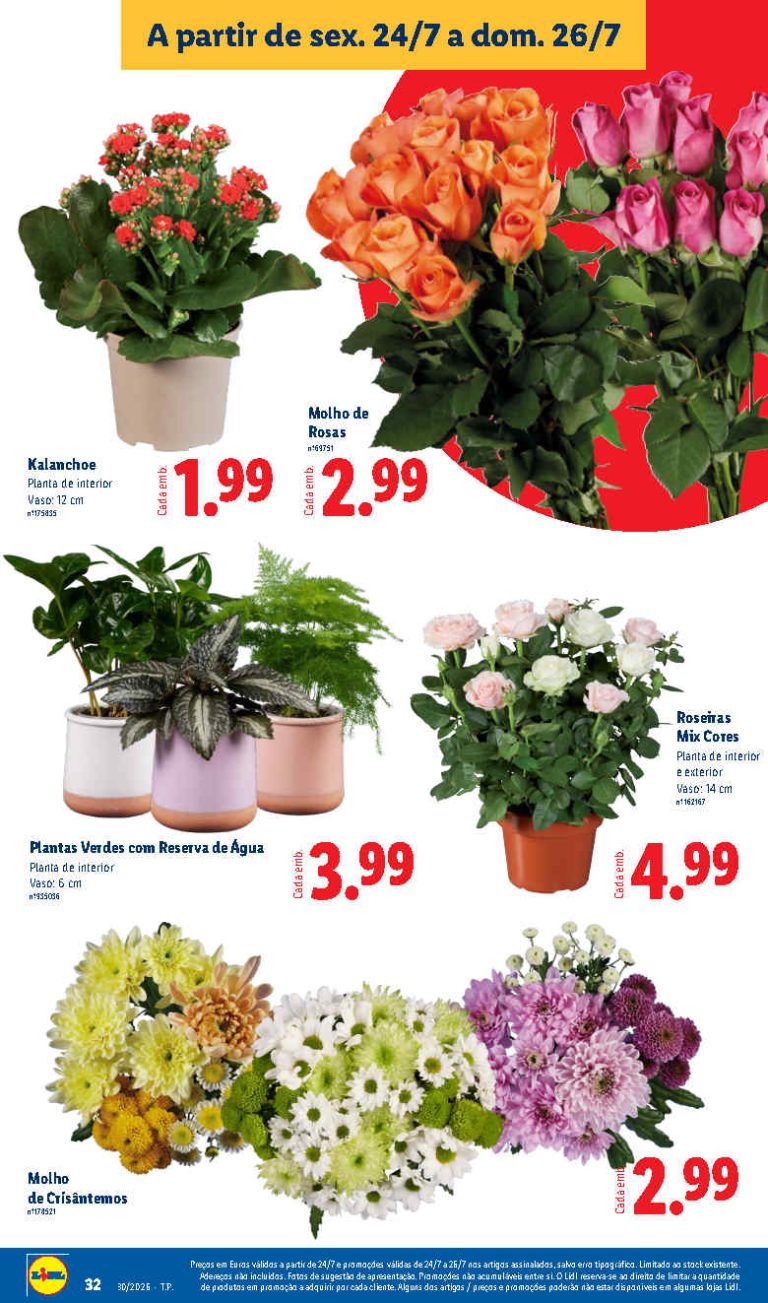 Folheto Lidl flores – Antevisão bazar Promoções de 24 a 26 julho