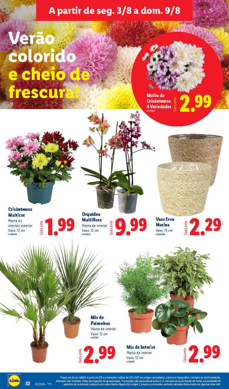 Folheto Lidl Flores – Antevisão bazar Promoções 3 a 9 de agosto
