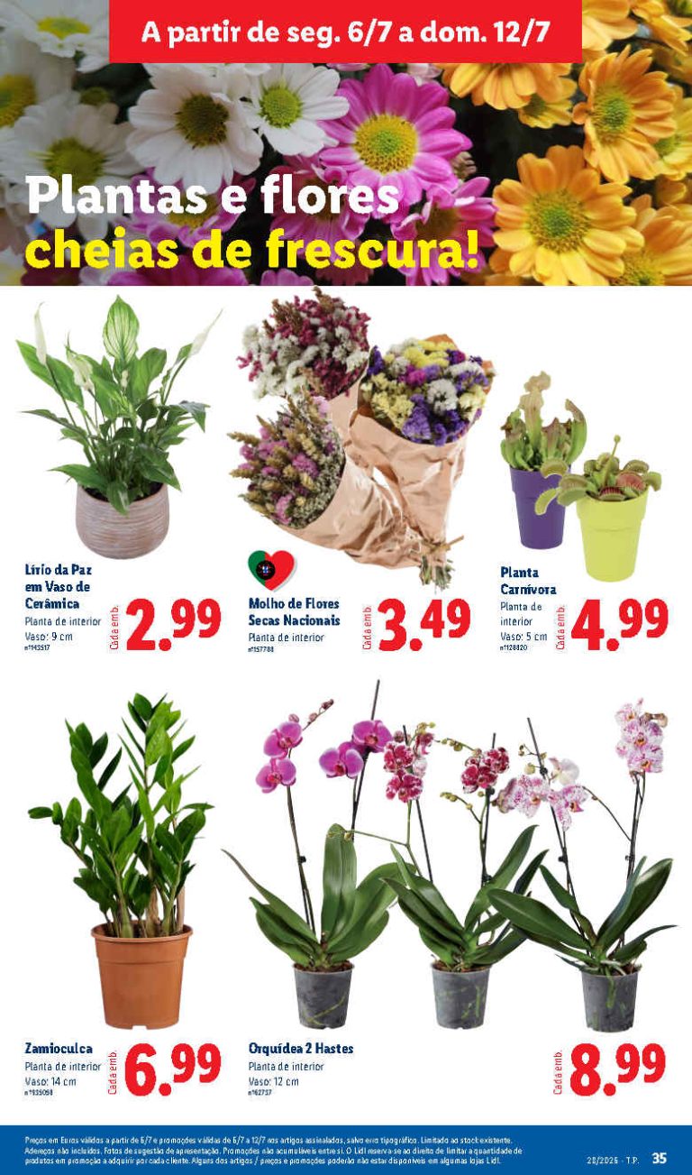 Folheto Lidl flores – Antevisão bazar Promoções de 6 a 12 julho