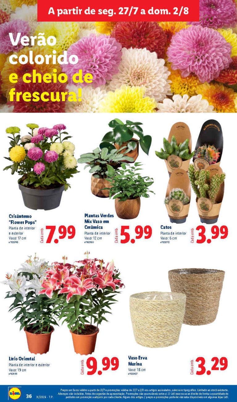Folheto Lidl Flores – Antevisão bazar Promoções 27 julho a 2 agosto