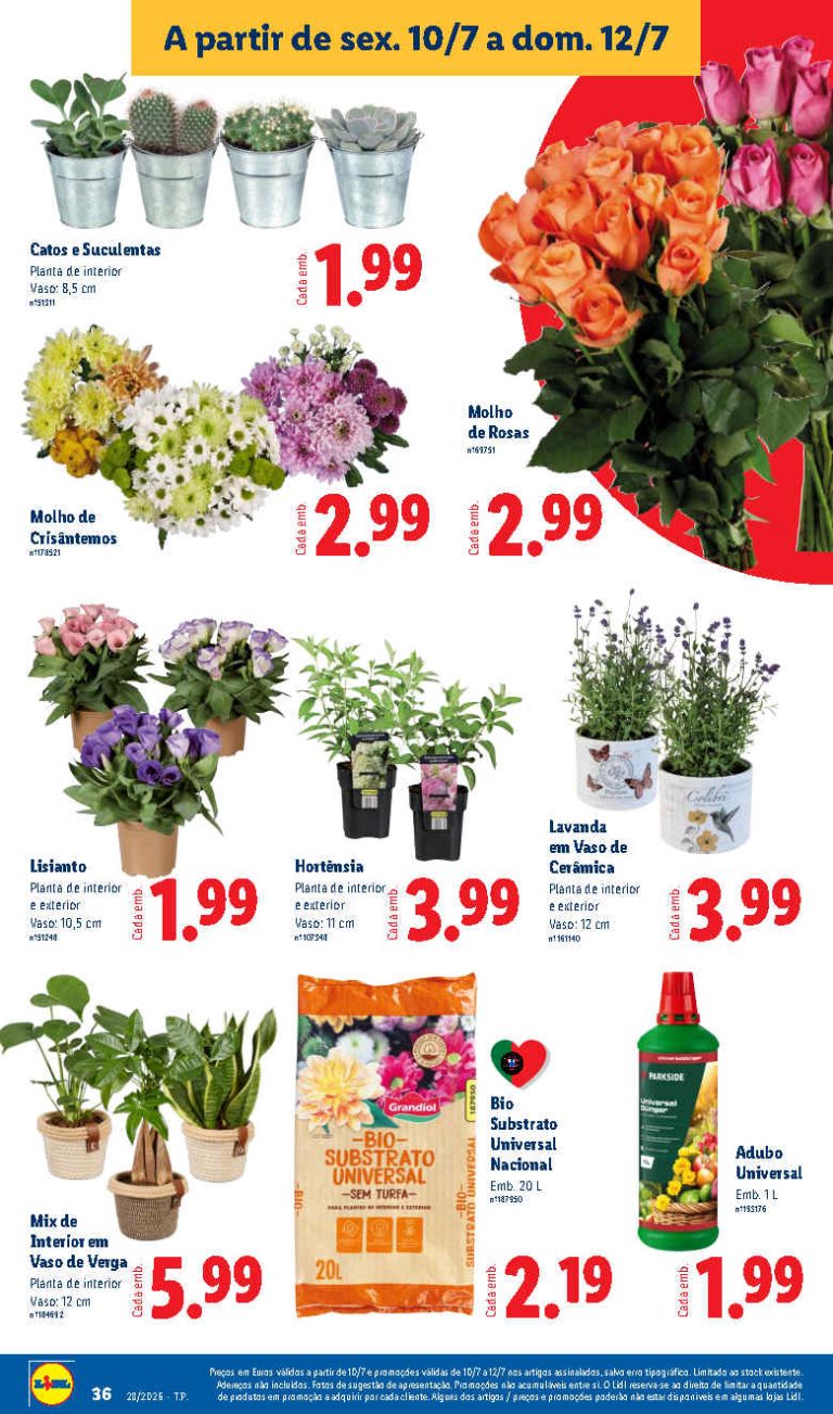 Folheto Lidl flores – Antevisão bazar Promoções de 10 a 12 julho