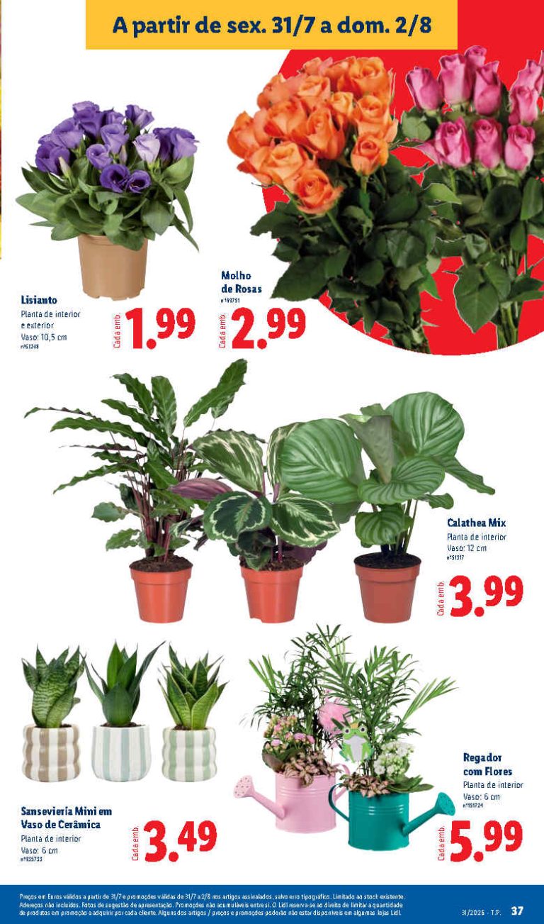 Folheto Lidl Flores – Antevisão bazar Promoções 31 julho a 2 agosto