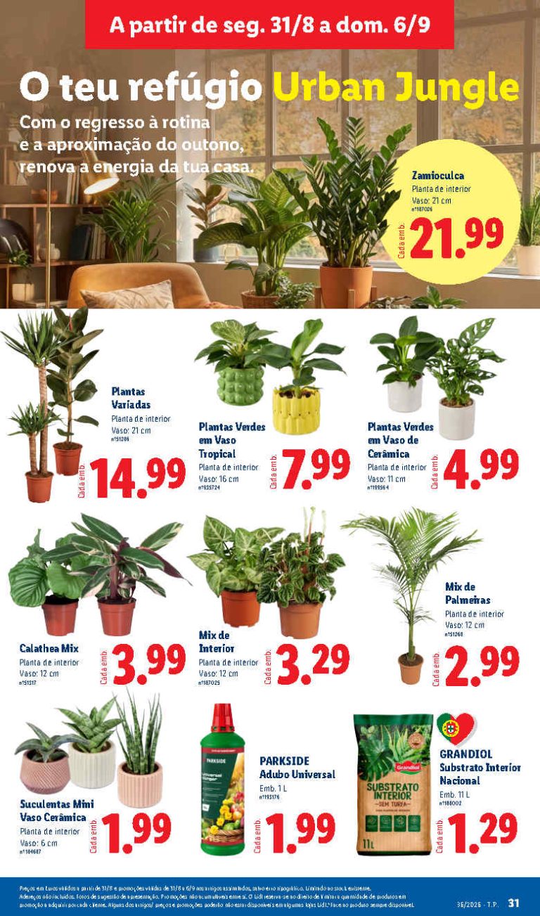 Folheto Lidl Flores – Antevisão Bazar Promoções 31 agosto a 6 setembro