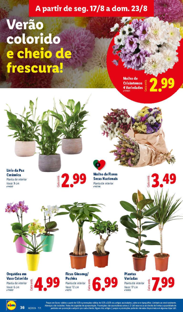 Folheto Lidl Flores – Antevisão Promoções Bazar de 17 a 23 agosto