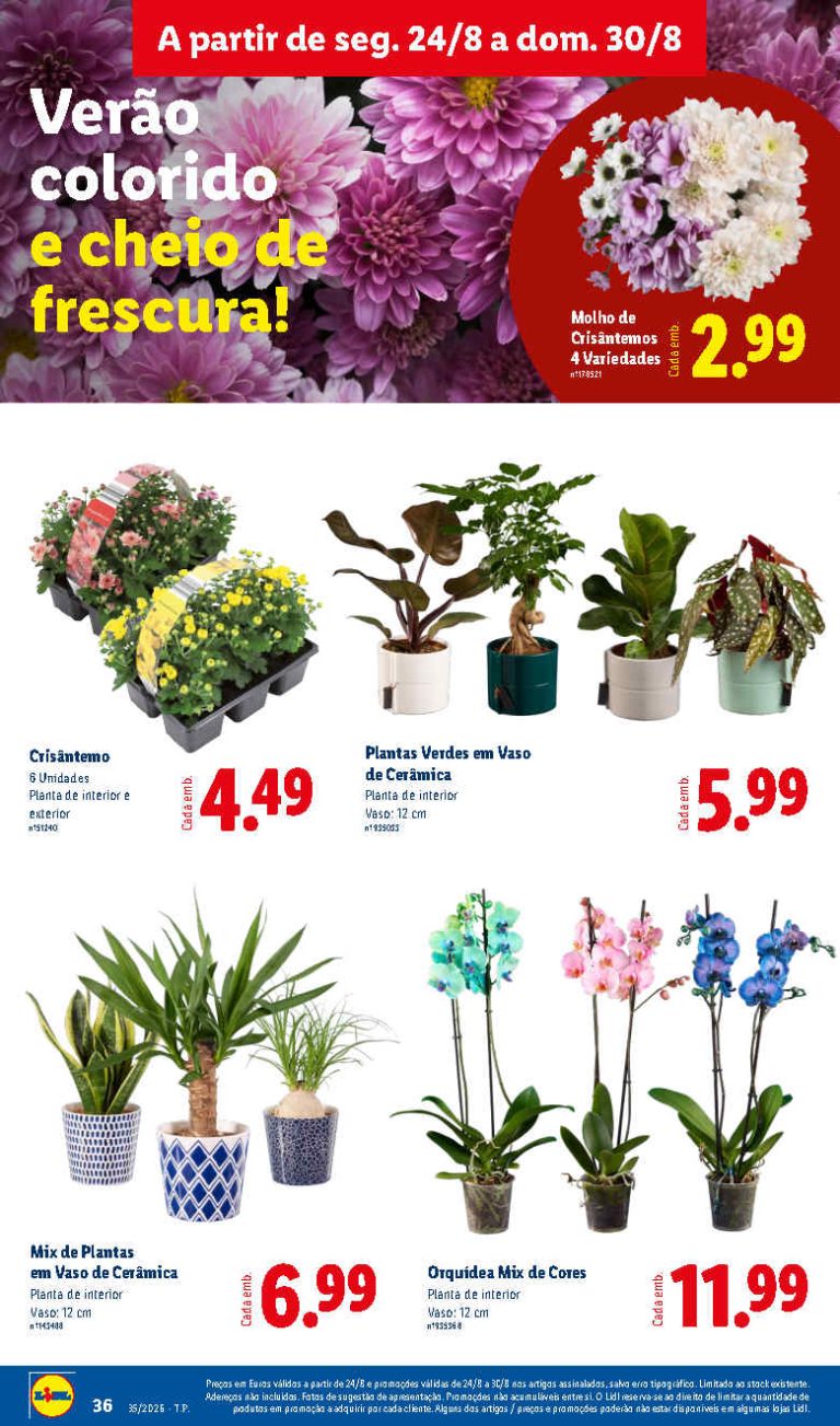 Folheto Lidl Flores – Antevisão Bazar Promoções 24 a 30 de agosto