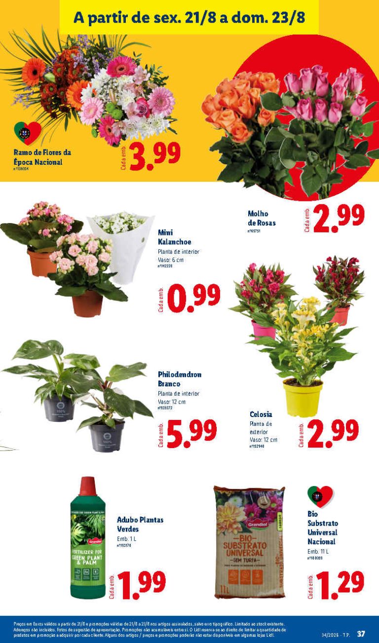 Folheto Lidl Flores – Antevisão Promoções Bazar de 21 a 23 agosto