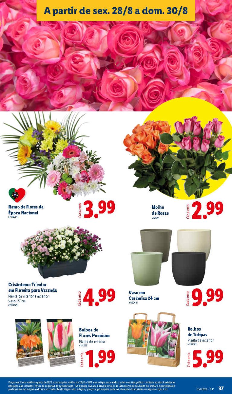 Folheto Lidl Flores – Antevisão Bazar Promoções 28 a 30 de agosto