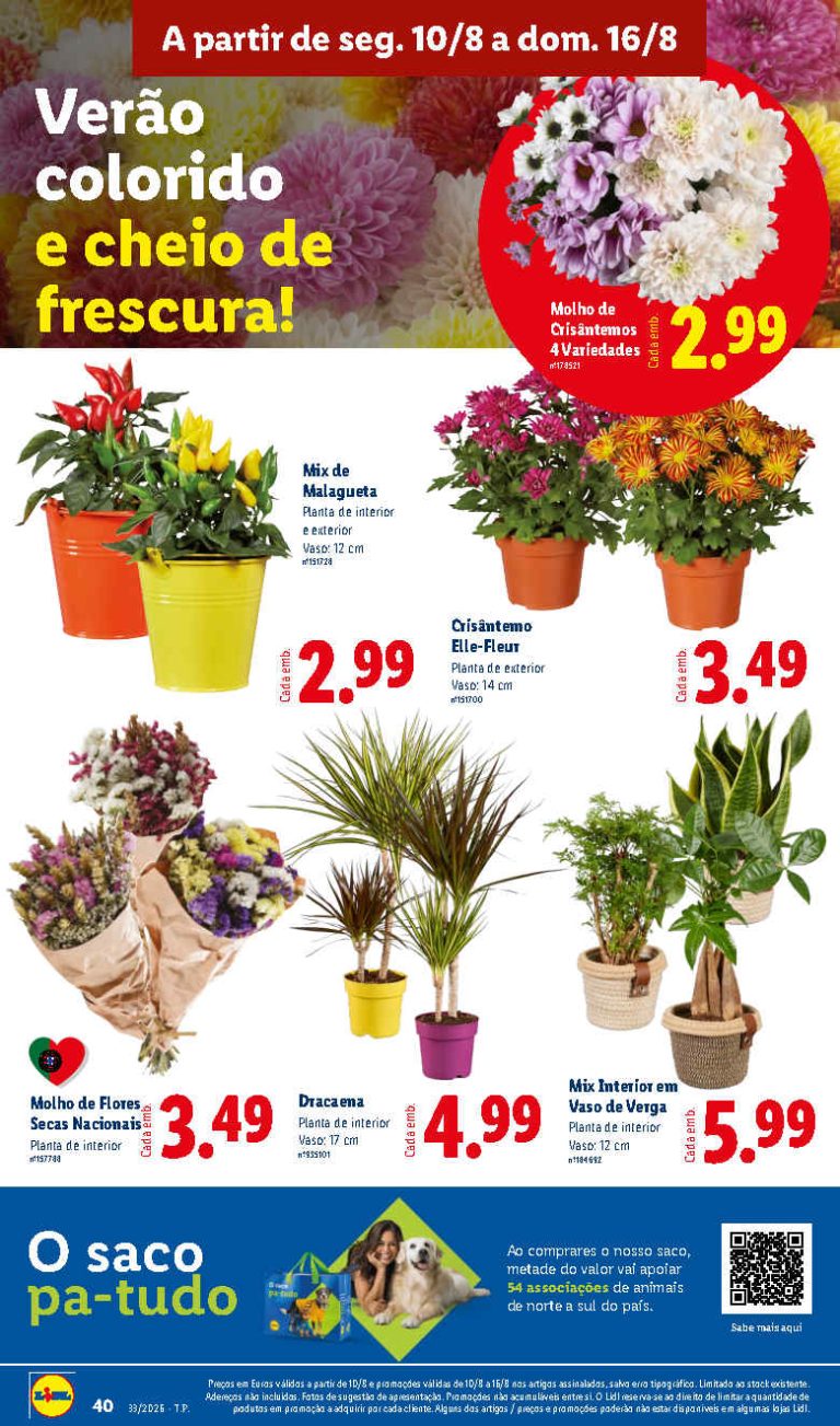 Folheto Lidl Flores – Antevisão Promoções bazar 10 a 16 de agosto