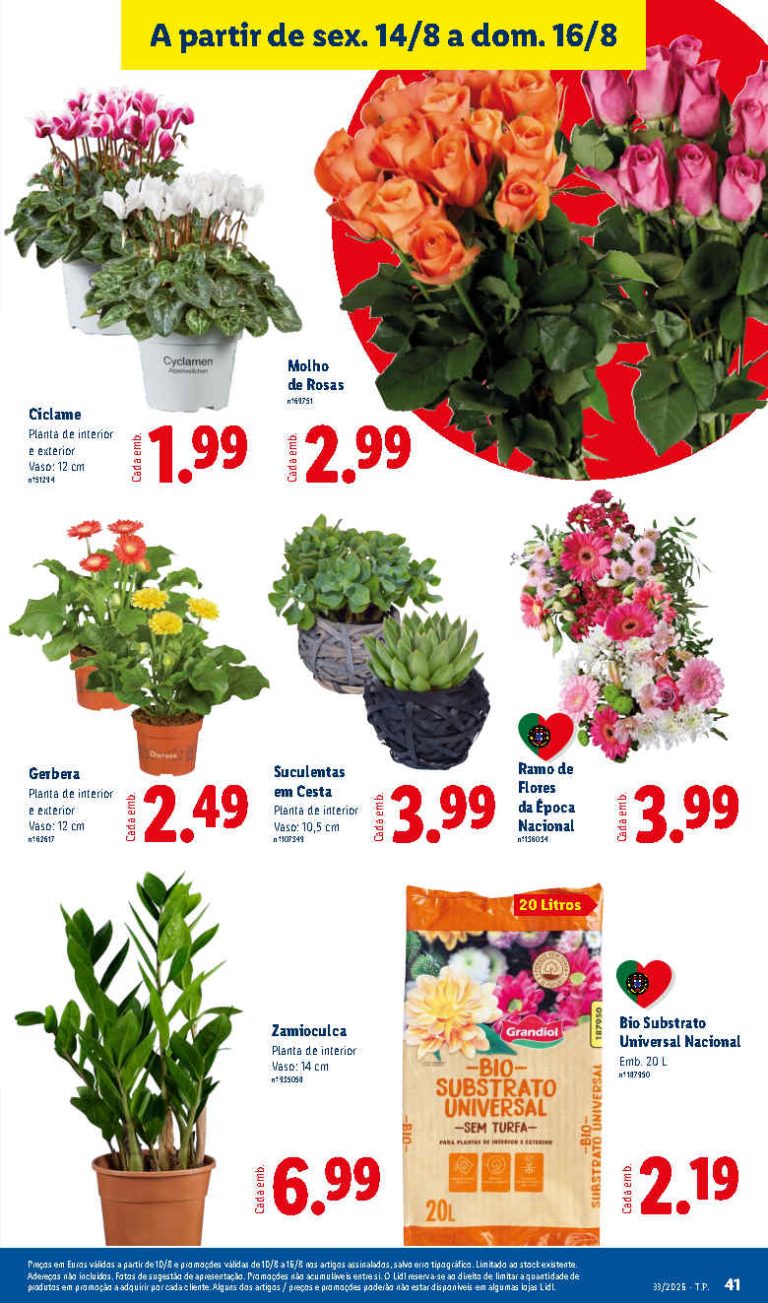 Folheto Lidl Flores – Antevisão Promoções bazar 14 a 16 de agosto