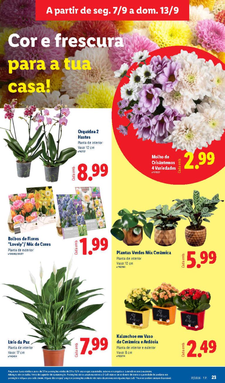 Folheto Lidl Flores – Antevisão Bazar Promoções de 7 a 13 setembro