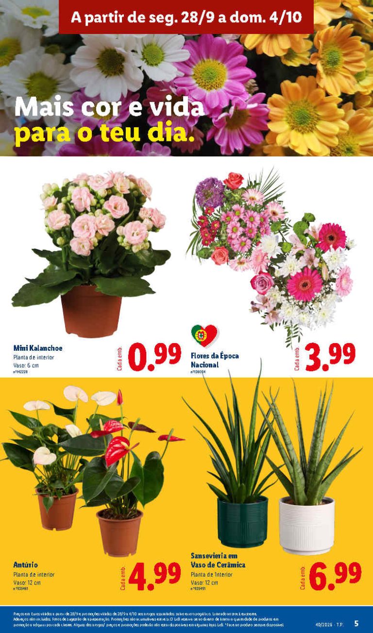 Folheto Lidl Flores – Antevisão Promoções 28 setembro a 4 outubro