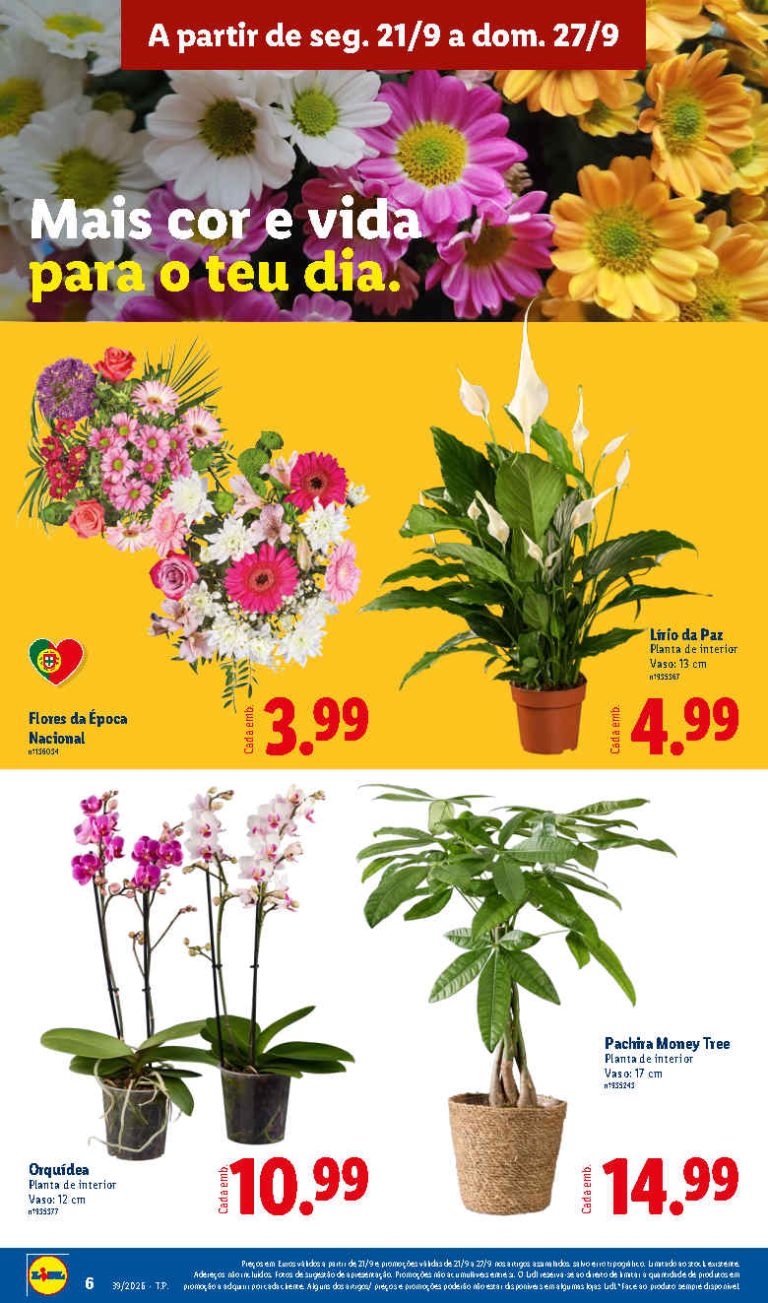 Folheto Lidl Flores – Antevisão Promoções Bazar 21 a 27 de setembro