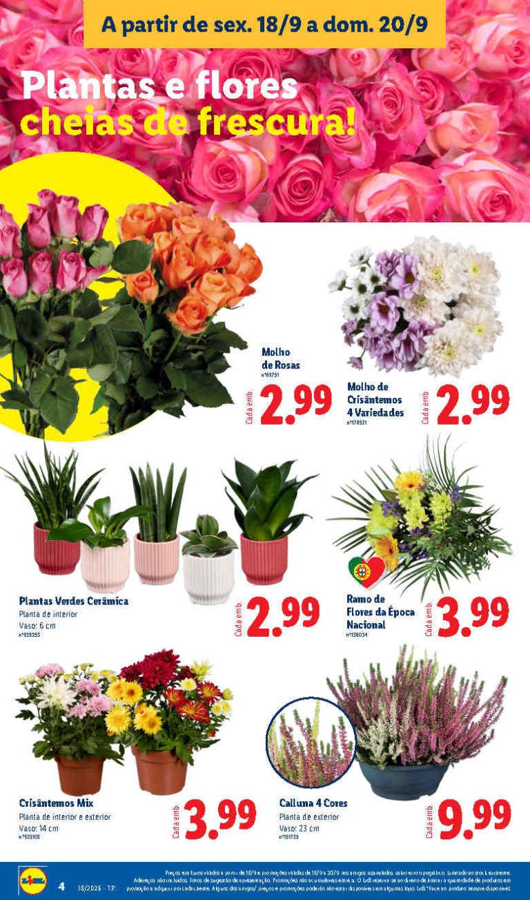 Folheto Lidl Flores – Antevisão Bazar Promoções 18 a 20 de setembro
