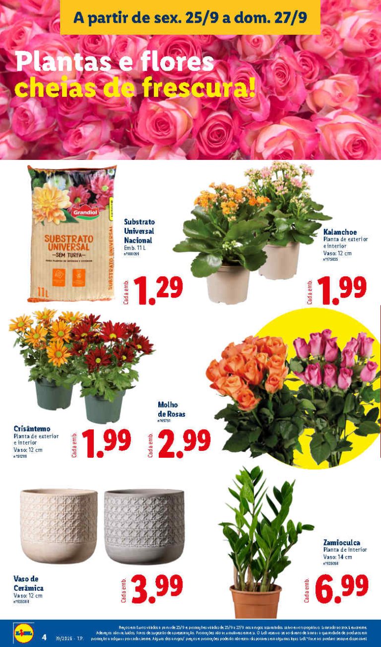 Folheto Lidl Flores – Antevisão Promoções Bazar 25 a 27 de setembro