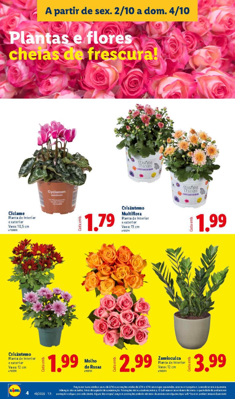 Folheto Lidl Flores – Antevisão Promoções de 2 a 4 outubro