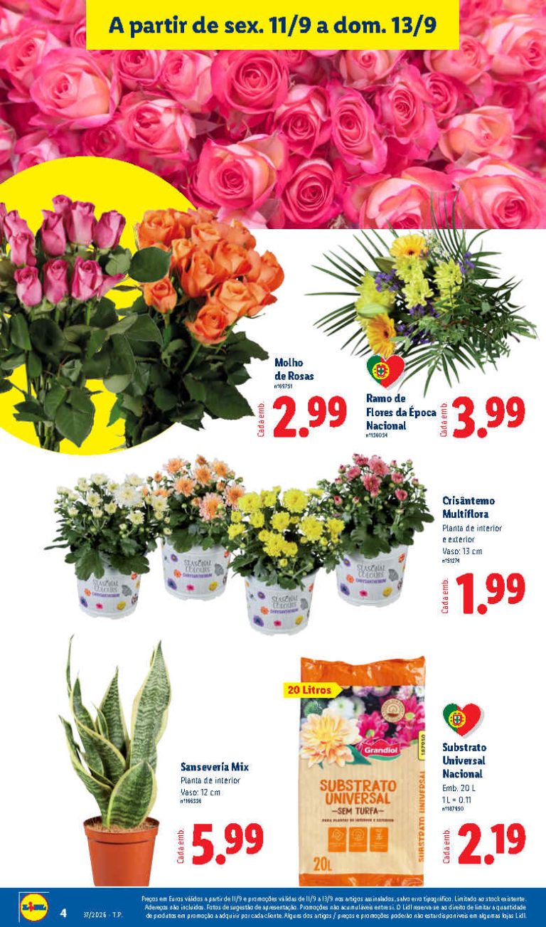 Folheto Lidl Flores – Antevisão Bazar Promoções 11 a 13 de setembro