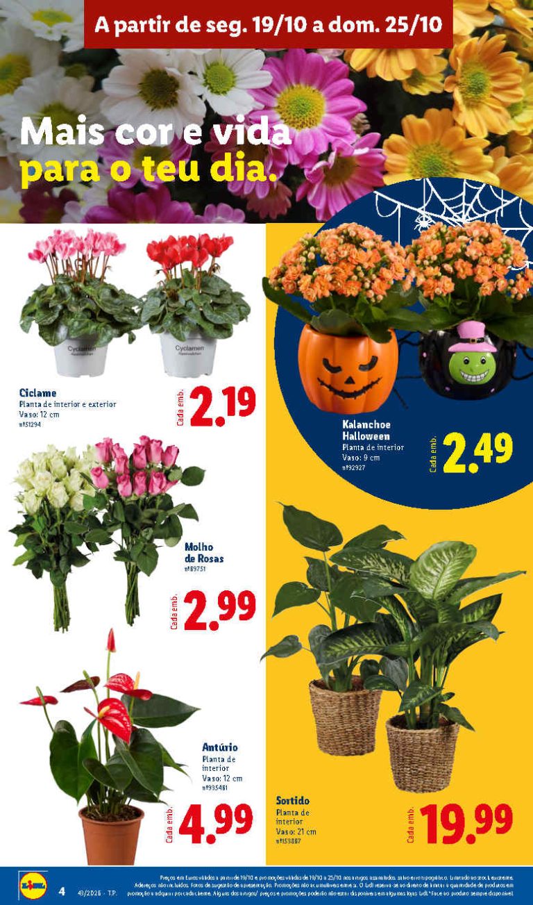 Folheto Lidl Flores – Antevisão Promoções 19 a 25 de outubro