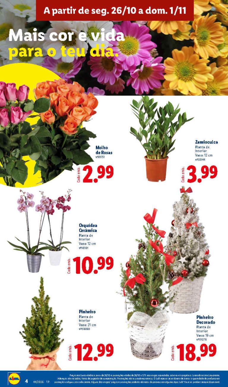 Folheto Lidl Flores – Antevisão Promoções Bazar de 26 outubro a 1 novembro