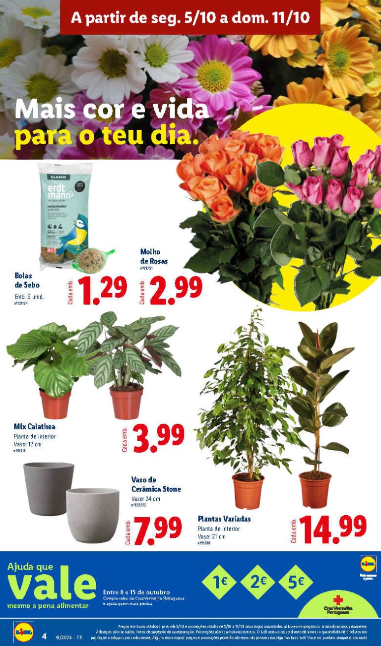 Folheto Lidl Flores – Antevisão Bazar Promoções 5 a 11 de outubro