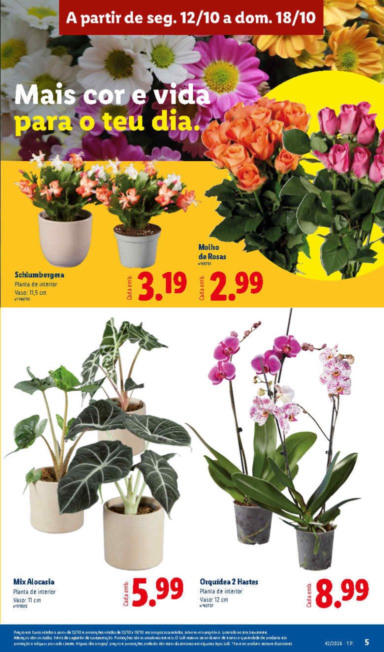 Folheto Lidl Flores – Antevisão Bazar Promoções 12 a 18 de outubro