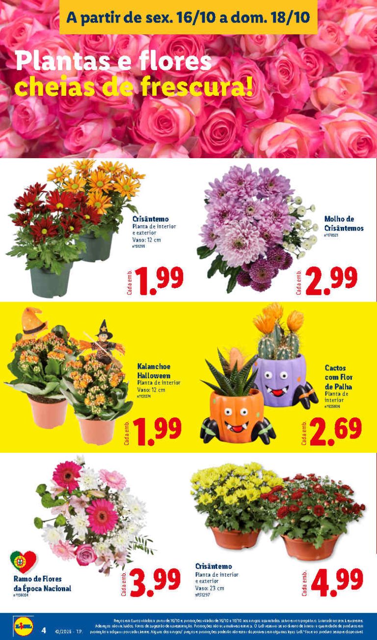 Folheto Lidl Flores – Antevisão Bazar Promoções 16 a 18 de outubro