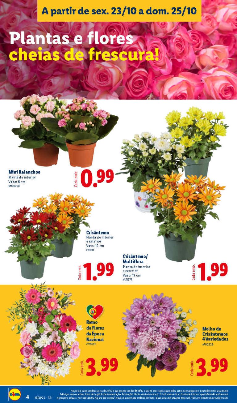 Folheto Lidl Flores – Antevisão Promoções 23 a 25 de outubro