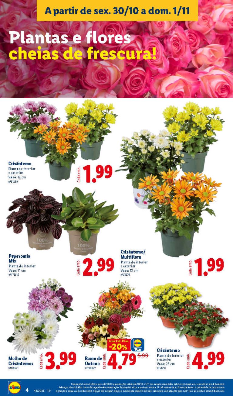 Folheto Lidl Flores – Antevisão Promoções Bazar de 30 outubro a 1 novembro