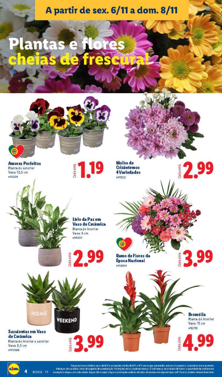 Folheto Lidl Flores – Antevisão Promoções 6 a 8 de novembro