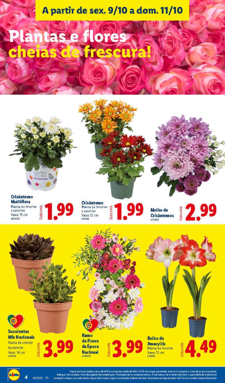 Folheto Lidl Flores – Antevisão Bazar Promoções 9 a 11 de outubro
